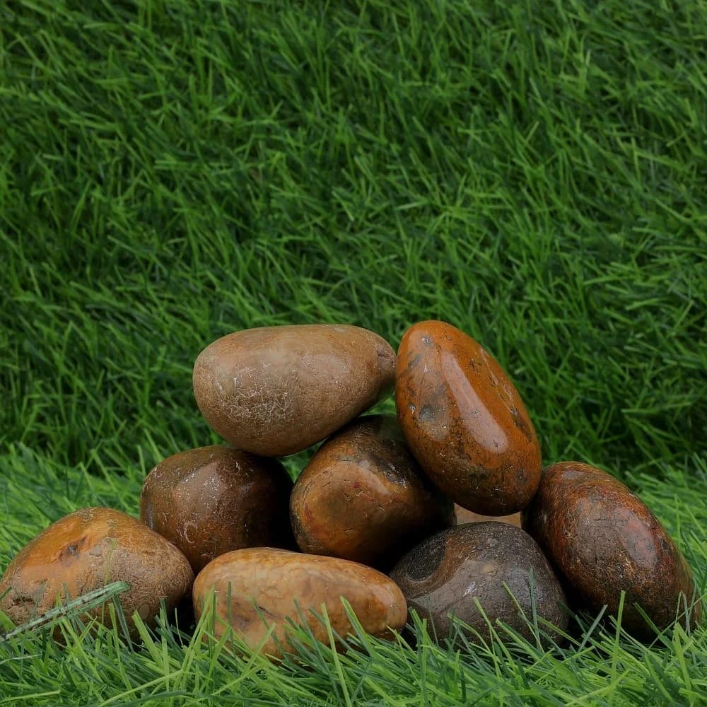 Browny Exotic Glossy Pebbles