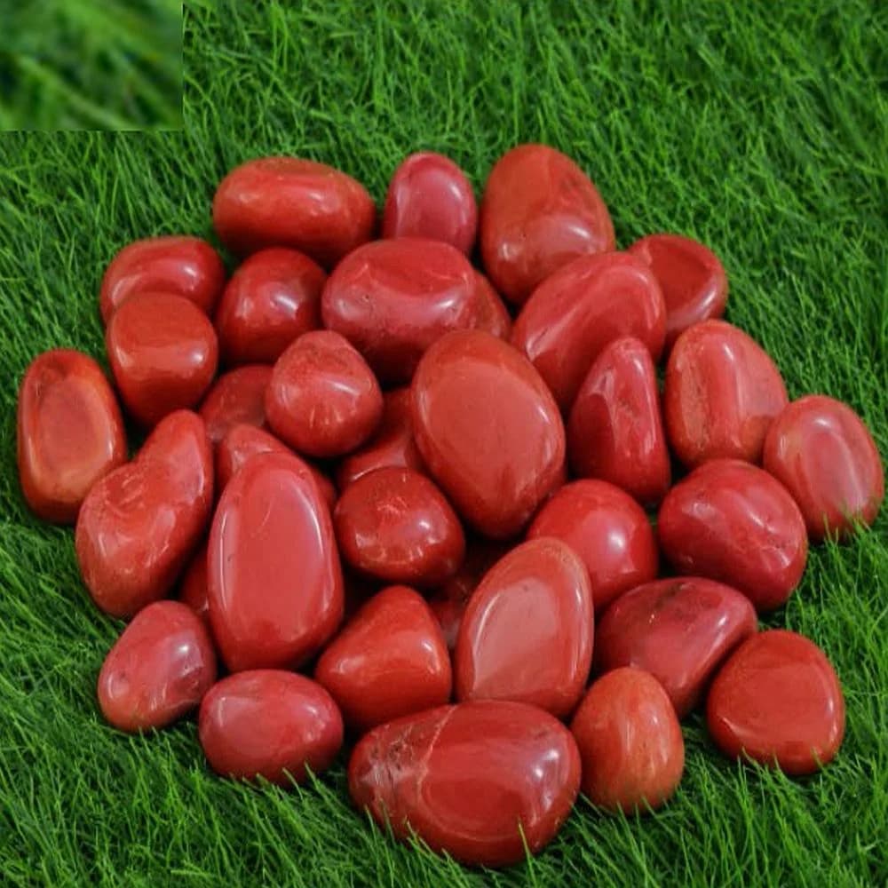 Red Cherry Exotic Glossy Pebbles