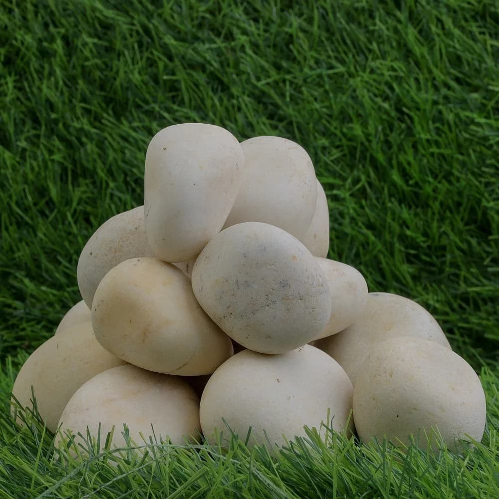 Morning Glory decorative beach pebbles export-ready packaging for international B2B buyers