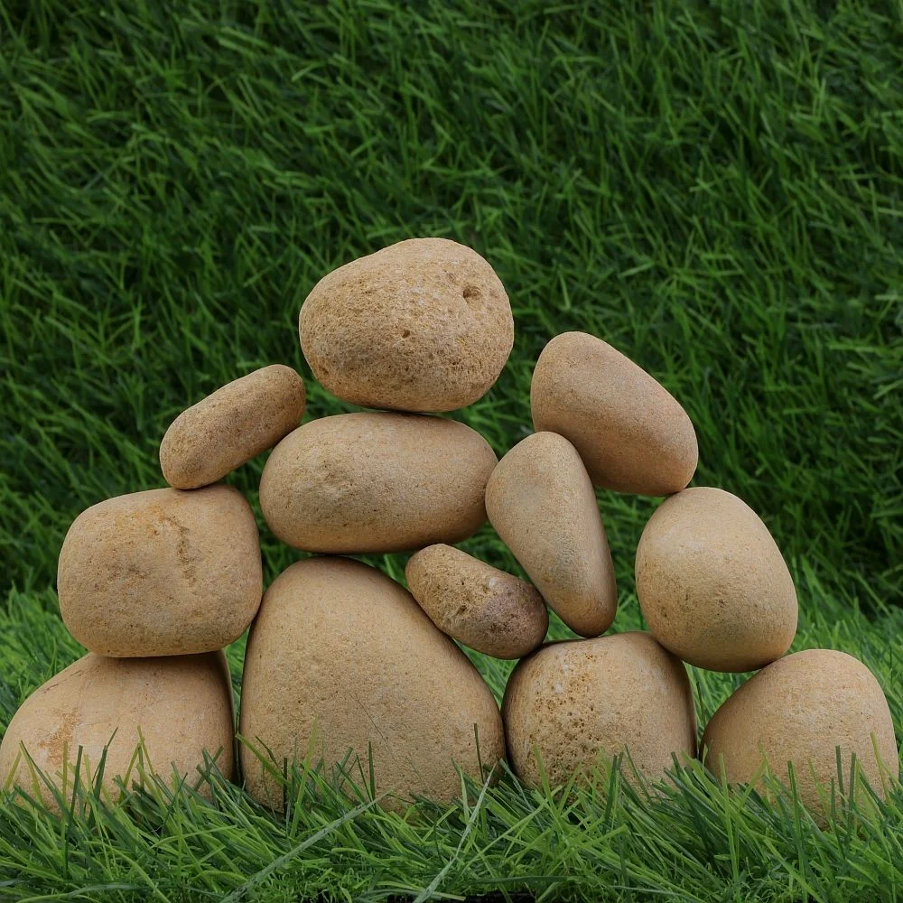 Divine Gold Dry Garden Pebbles