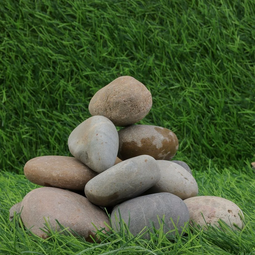 Multi Color Dry Beach Pebbles