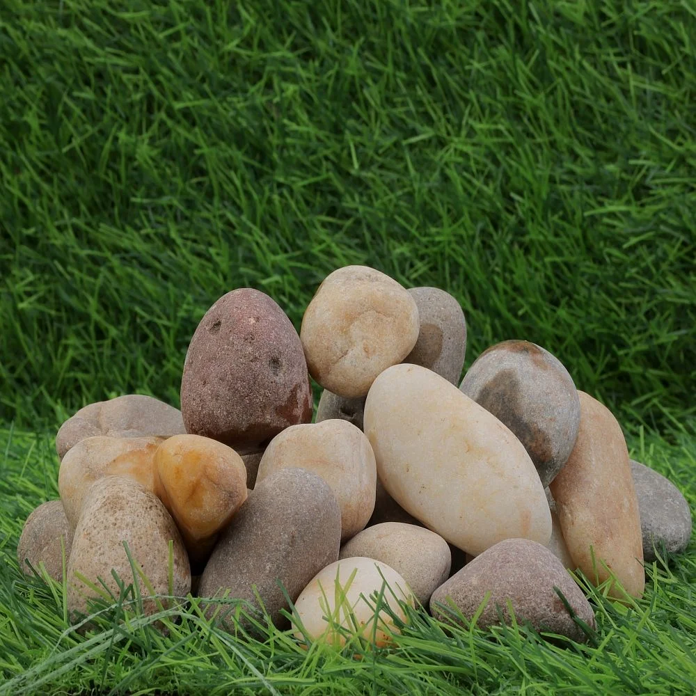 Palm Rock Dry Beach Pebbles