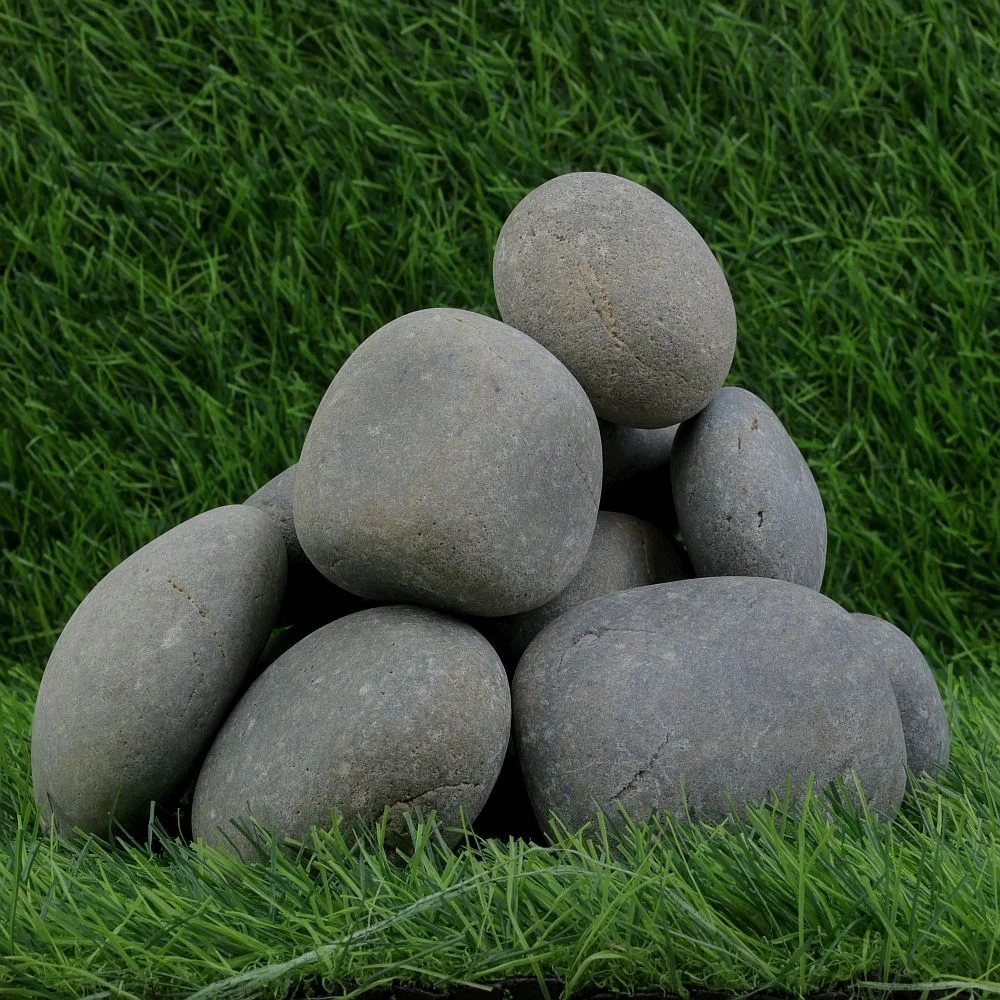 Pegion Dry Beach Pebbles
