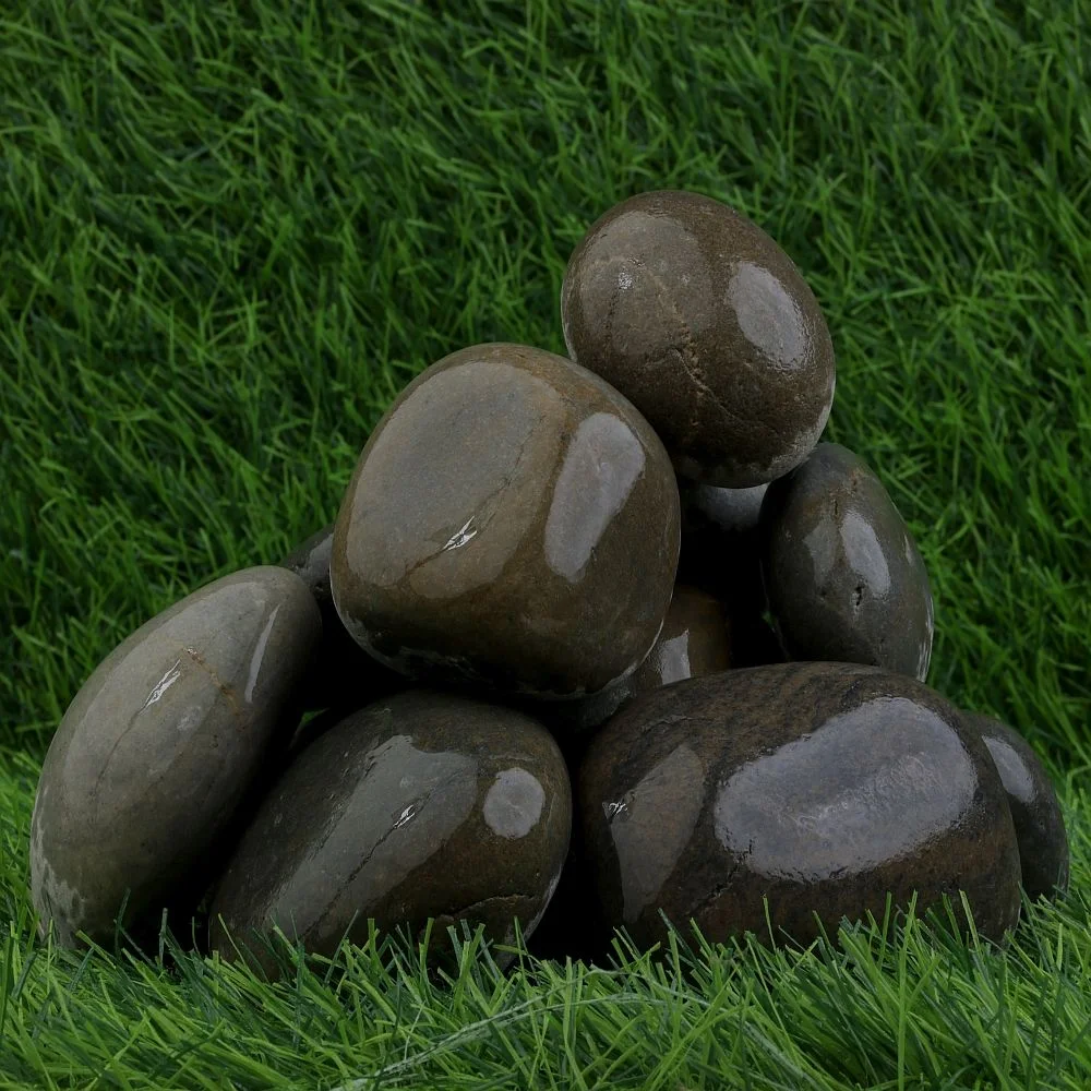 Pigeon Wet Beach Pebbles